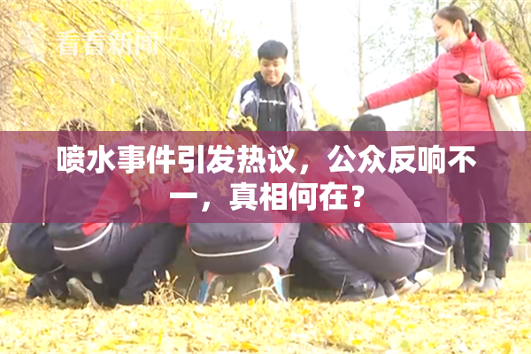 喷水事件引发热议，公众反响不一，真相何在？
