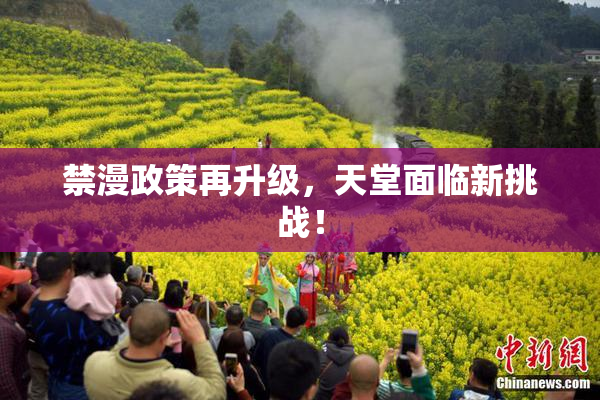 禁漫政策再升级，天堂面临新挑战！