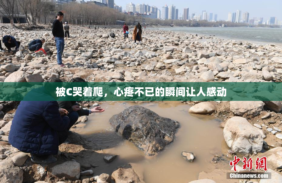 被C哭着爬，心疼不已的瞬间让人感动