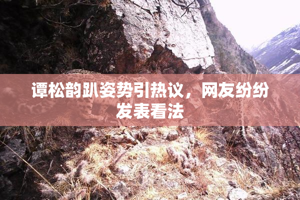 谭松韵趴姿势引热议，网友纷纷发表看法