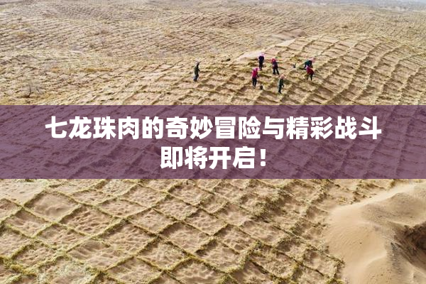 七龙珠肉的奇妙冒险与精彩战斗即将开启！