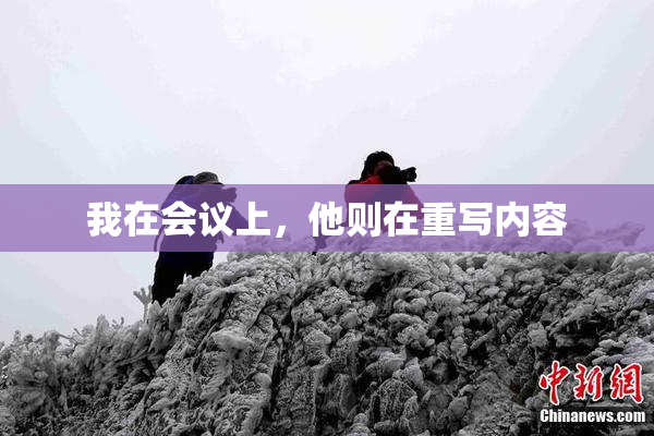 我在会议上，他则在重写内容