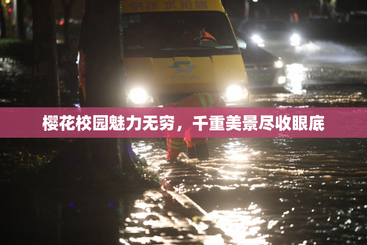 樱花校园魅力无穷，千重美景尽收眼底