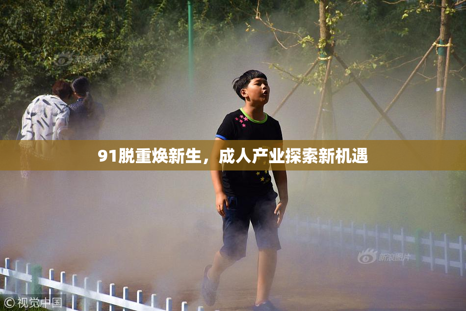 91脱重焕新生，成人产业探索新机遇