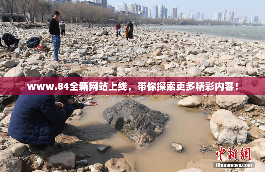 www.84全新网站上线，带你探索更多精彩内容！