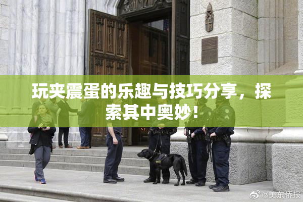玩夹震蛋的乐趣与技巧分享，探索其中奥妙！