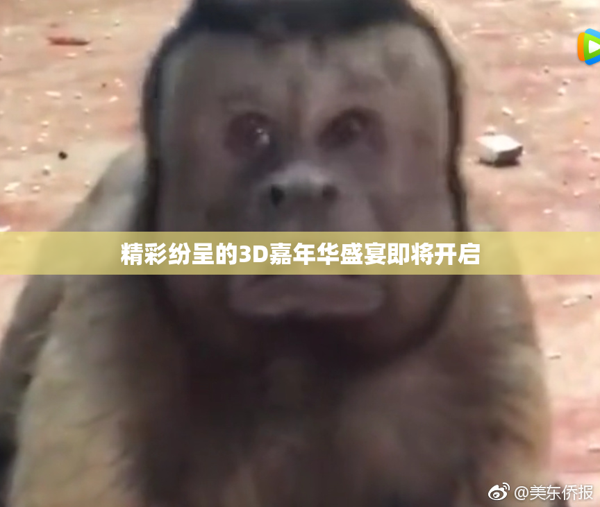 精彩纷呈的3D嘉年华盛宴即将开启