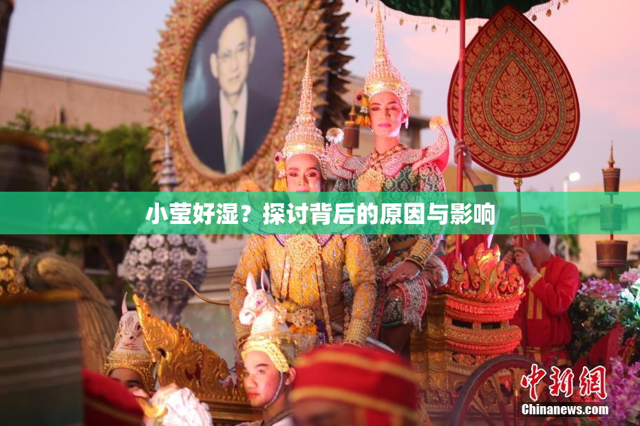 小莹好湿？探讨背后的原因与影响