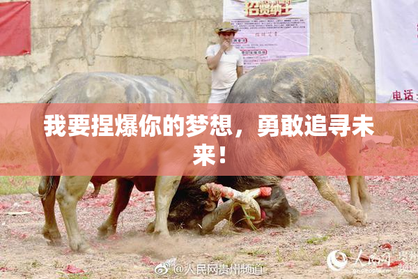 我要捏爆你的梦想，勇敢追寻未来！