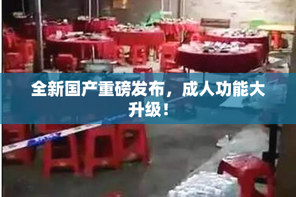 全新国产重磅发布，成人功能大升级！