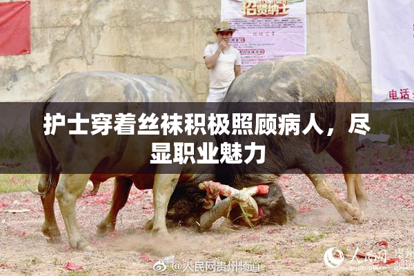 护士穿着丝袜积极照顾病人，尽显职业魅力