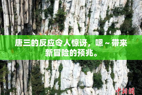 唐三的反应令人惊讶，嗯～带来新冒险的预兆。