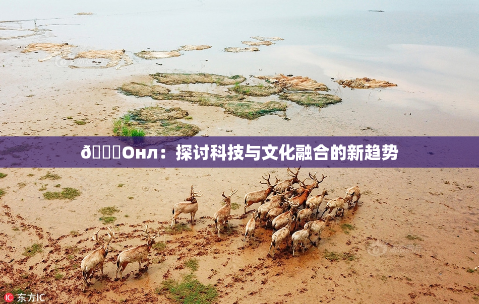 🐔Oнл：探讨科技与文化融合的新趋势