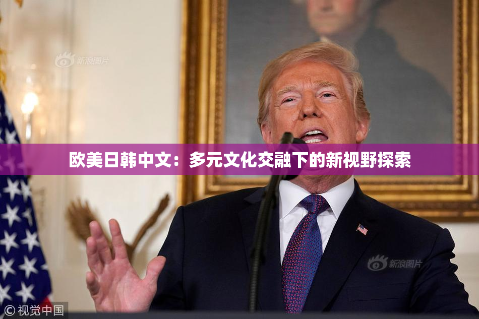 欧美日韩中文：多元文化交融下的新视野探索