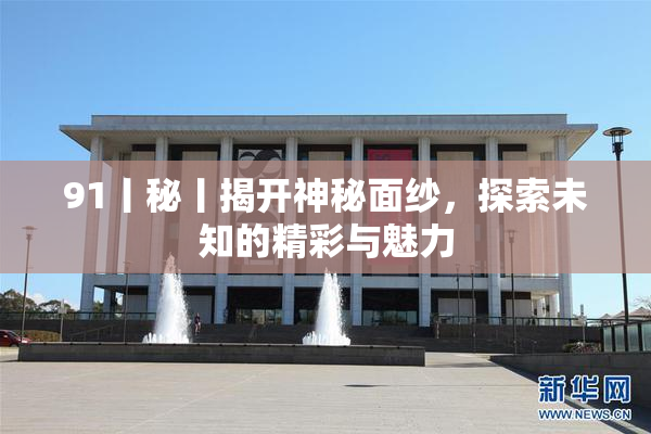 91丨秘丨揭开神秘面纱，探索未知的精彩与魅力