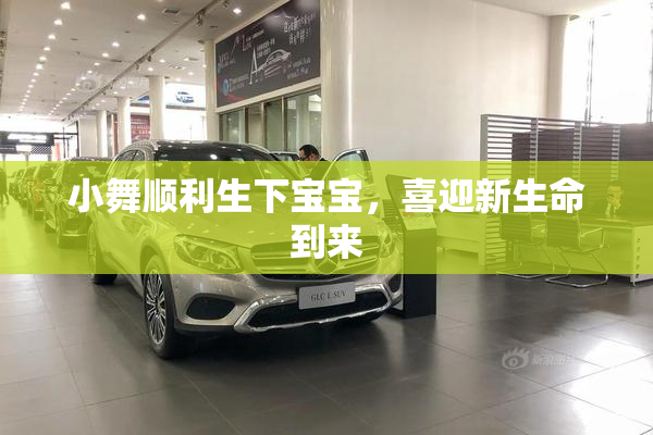 小舞顺利生下宝宝，喜迎新生命到来