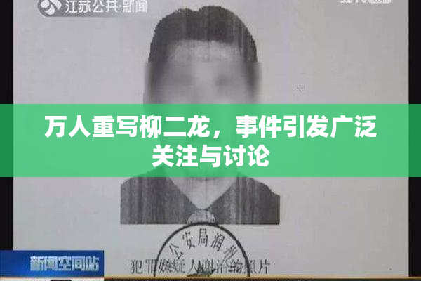 万人重写柳二龙，事件引发广泛关注与讨论