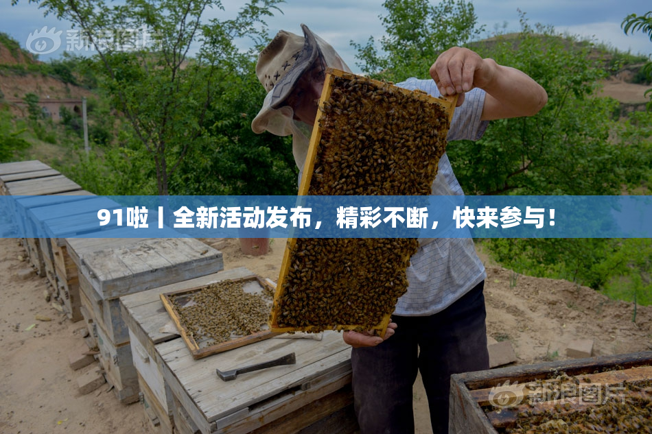 91啦丨全新活动发布，精彩不断，快来参与！