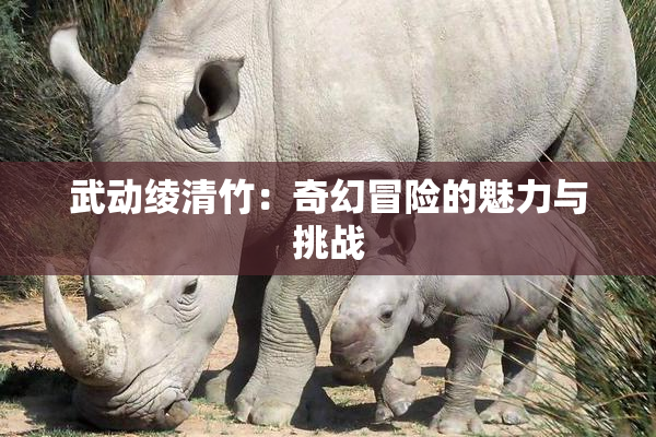 武动绫清竹：奇幻冒险的魅力与挑战