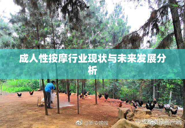 成人性按摩行业现状与未来发展分析
