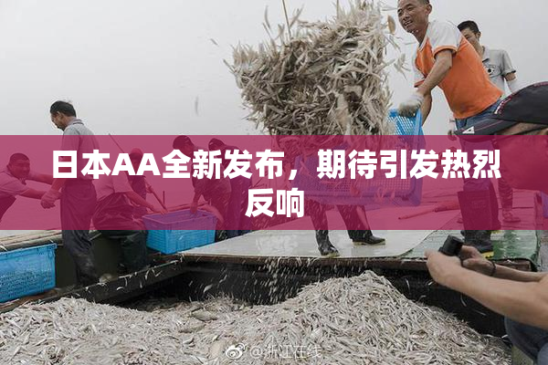 日本AA全新发布，期待引发热烈反响