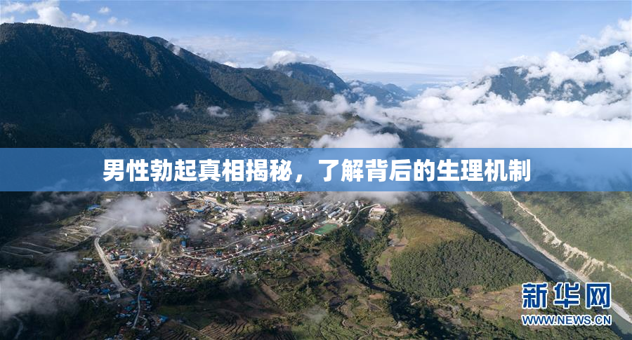 男性勃起真相揭秘，了解背后的生理机制