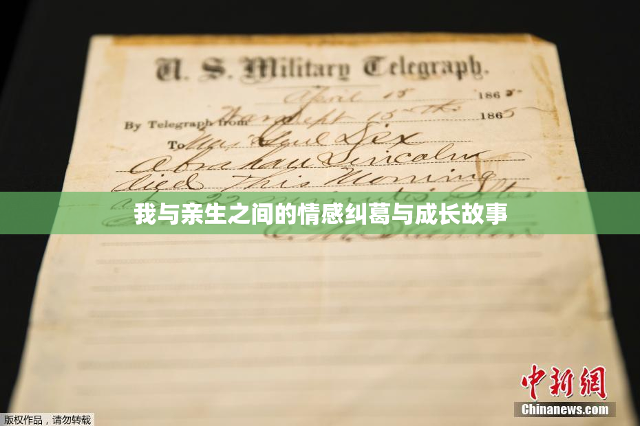 我与亲生之间的情感纠葛与成长故事