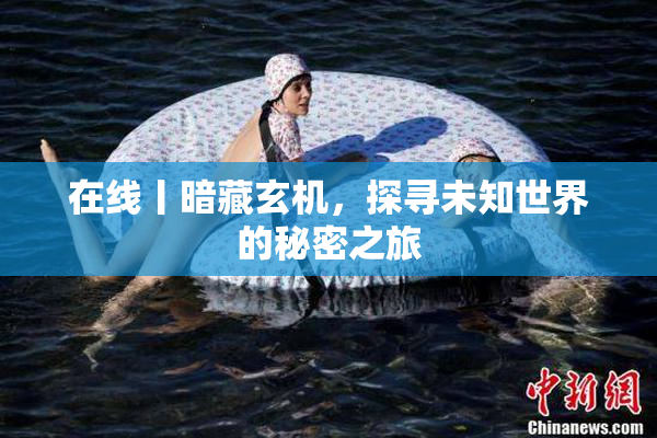 在线丨暗藏玄机，探寻未知世界的秘密之旅