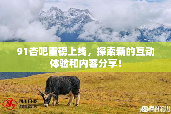 91杏吧重磅上线，探索新的互动体验和内容分享！