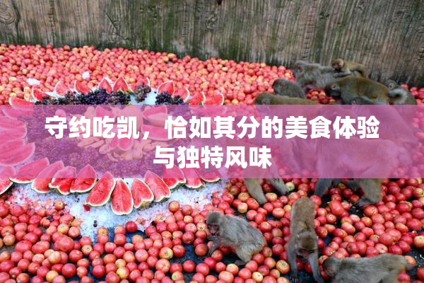 守约吃凯，恰如其分的美食体验与独特风味