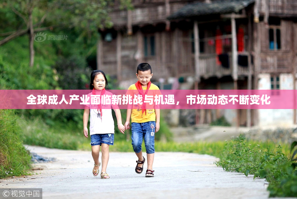 全球成人产业面临新挑战与机遇，市场动态不断变化