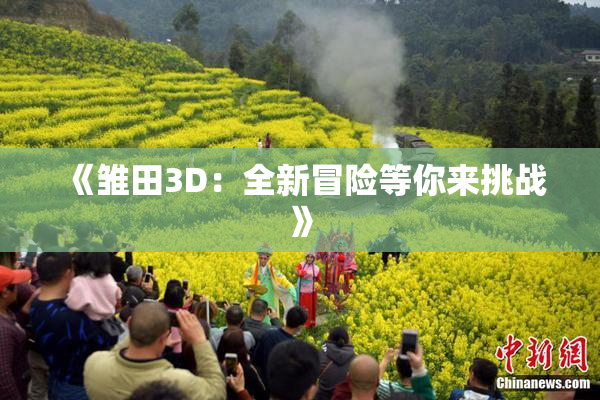《雏田3D：全新冒险等你来挑战》
