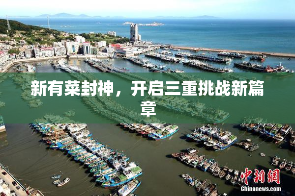 新有菜封神，开启三重挑战新篇章