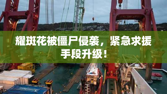 耀斑花被僵尸侵袭，紧急求援手段升级！