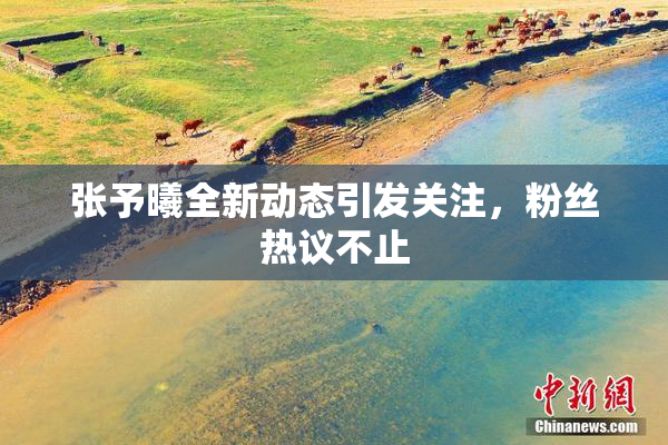 张予曦全新动态引发关注，粉丝热议不止