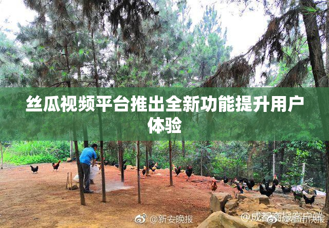 丝瓜视频平台推出全新功能提升用户体验