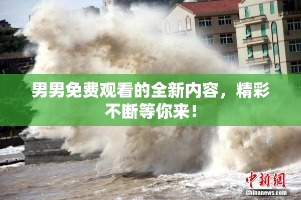 男男免费观看的全新内容，精彩不断等你来！