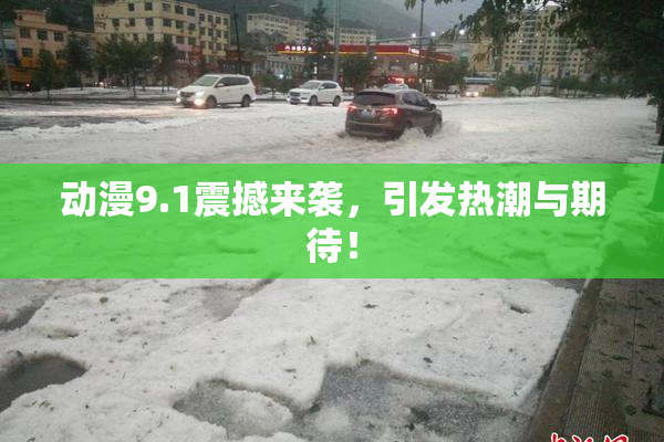动漫9.1震撼来袭，引发热潮与期待！