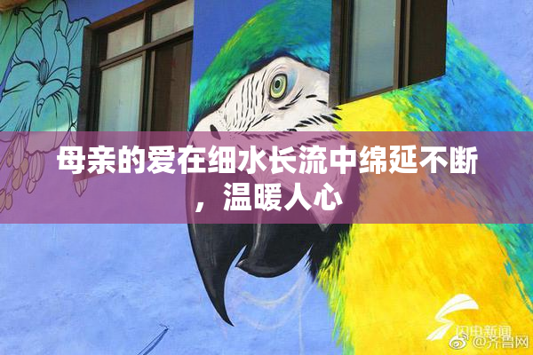 母亲的爱在细水长流中绵延不断，温暖人心