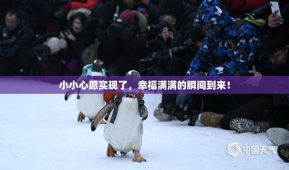 小小心愿实现了，幸福满满的瞬间到来！