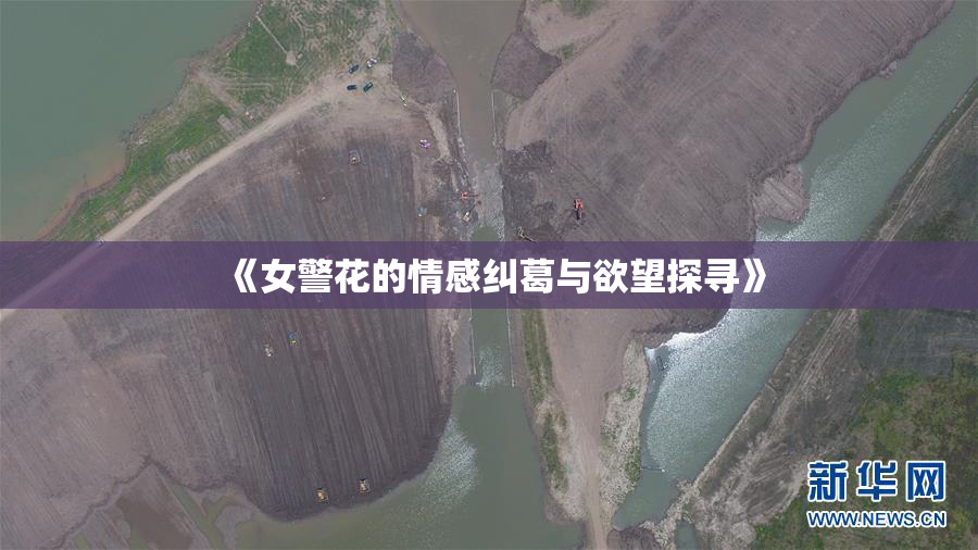 《女警花的情感纠葛与欲望探寻》