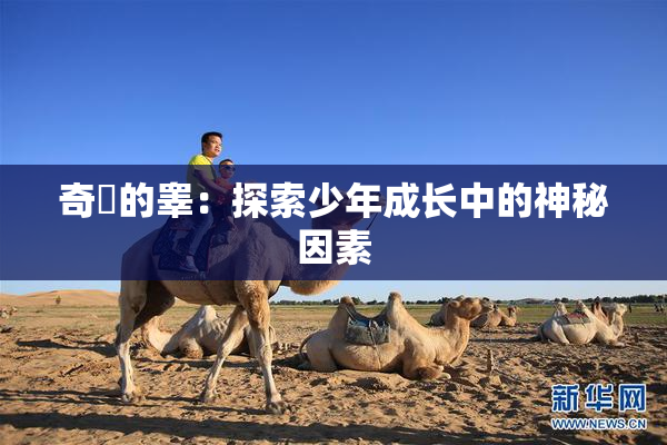奇犽的睾：探索少年成长中的神秘因素