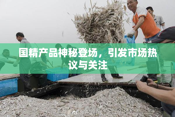 国精产品神秘登场，引发市场热议与关注