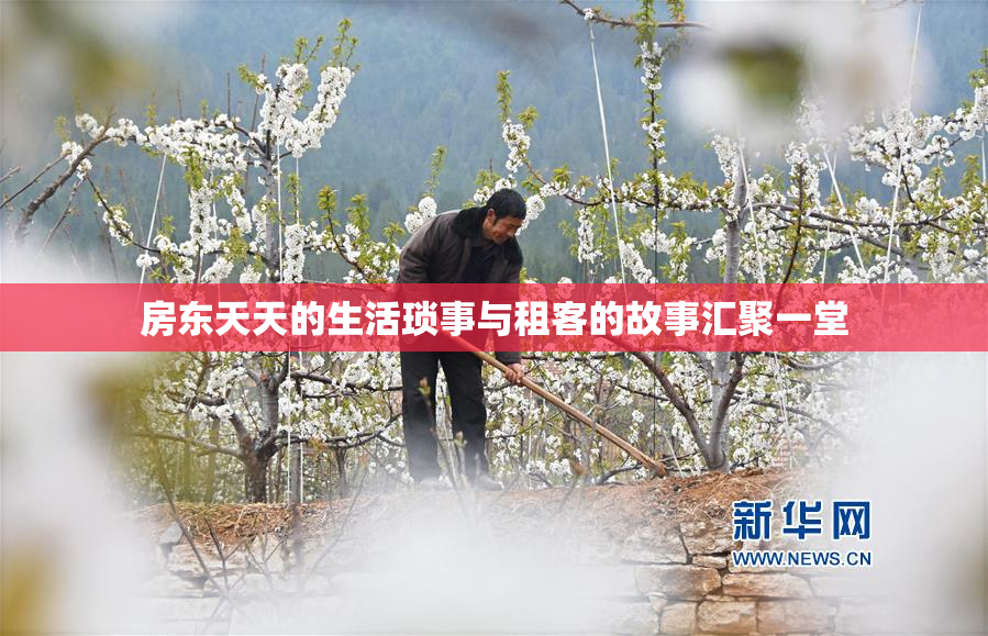 房东天天的生活琐事与租客的故事汇聚一堂