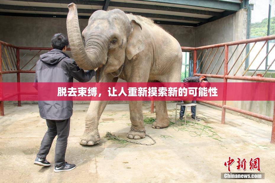 脱去束缚，让人重新摸索新的可能性