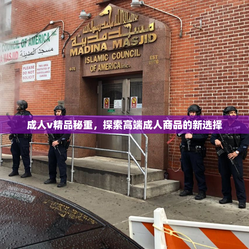 成人v精品秘重，探索高端成人商品的新选择