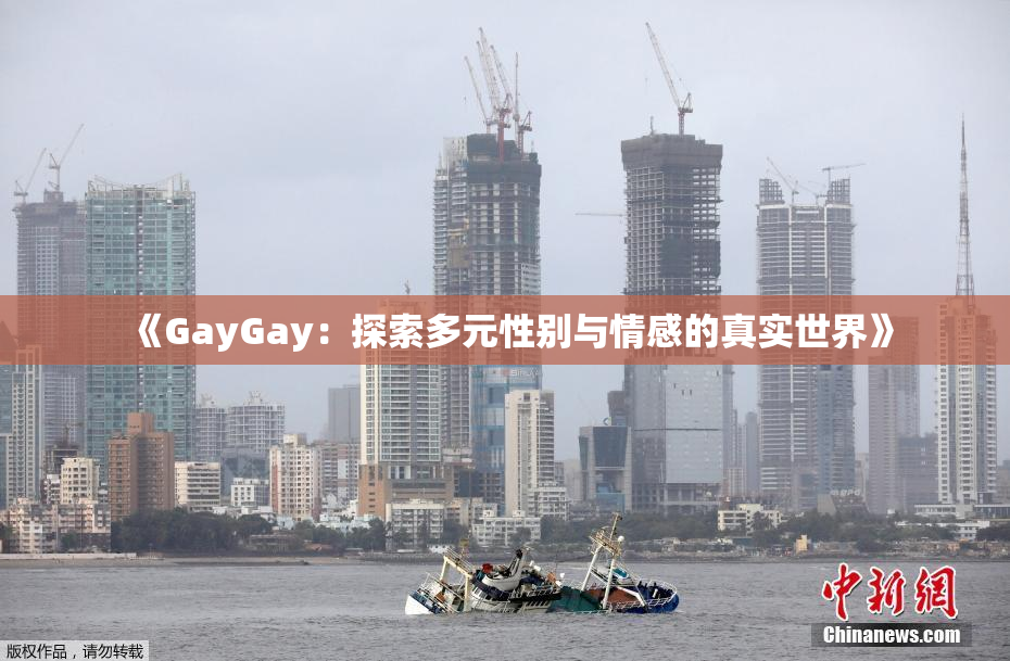 《GayGay：探索多元性别与情感的真实世界》