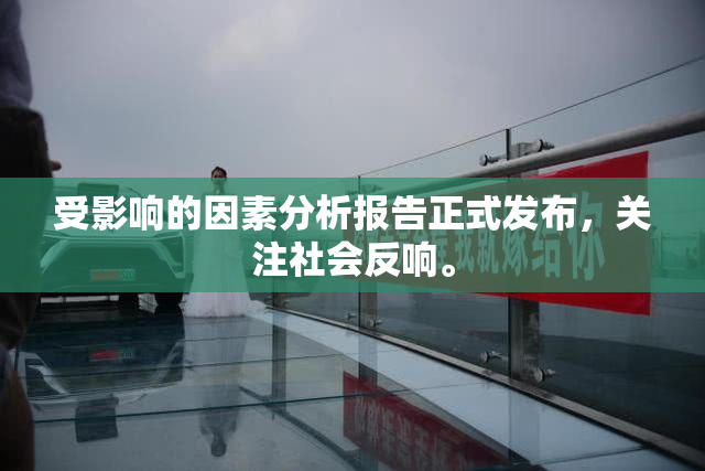 受影响的因素分析报告正式发布，关注社会反响。