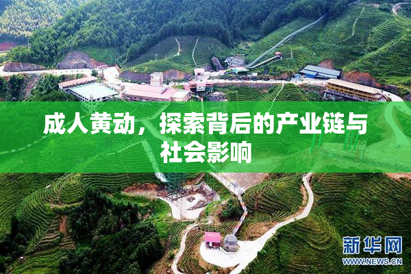 成人黄动，探索背后的产业链与社会影响