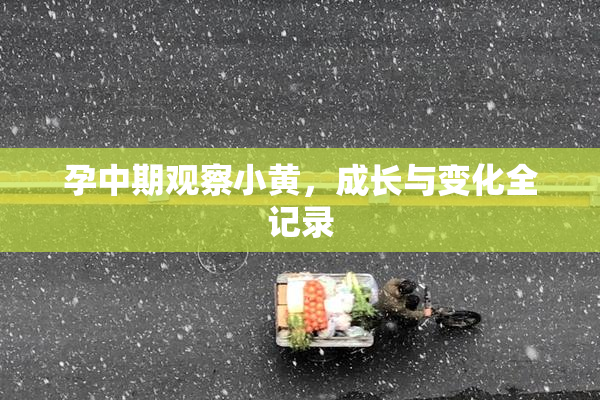 孕中期观察小黄，成长与变化全记录